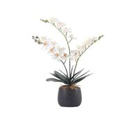 Bx9rE7tK3g Flores de imitación con jarrón Mariposa orquídea simulación Flor bonsái Creativo arreglo Floral Decoraciones de Escritorio Sala Estar TV gabinete Muebles Flores Artificiales