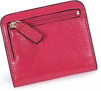 BXGGXBYSW Carteras para tarjetas de cuero dividido de moda para mujer, mini cartera de cuero con bolsillo para monedas (color: plateado), rosa (b)