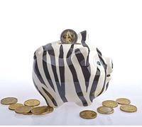 by de bers möchtegern de hucha, bonita mano de cerámica como Fresa, Zebra, Tiger, sandía, mariquita, mazorca de maíz, Leopard, zanahoria (Zebra)