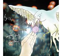 By the End of Tonight / Tera Melos - Complex Full of Phantoms