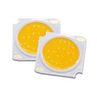 BYCIFRLG 1pcs 3pcs 5pcs 10pcs LED Chip 10W 20W 30W DC30-33V Lighting Diode 1919mm Spotlight Track Light Accessories DIY(White 4000K,10W 240-300mA 10pcs)