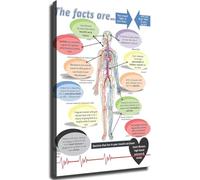 BYCIFRLG Oral Wellness Body Connection Poster Health Education Informative Wall-Art for Bathroom Office Living Room Home Health Awareness(Unframed,08x12inch(20x30cm))