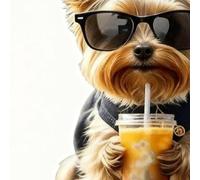 Byeaon Clip Ambientador Para Rejilla De Aire Del Coche - 2D Acrílico Forma De Perro Sólido - 4 Piezas En Forma De Perro Quita Olores Del Coche | Para Oficina Cocina Interior Hogar Camión