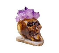 BYLSAGWHT Amethyst Flower Agate Skull Crystal, Handcrafted with Cluster, Decor for and ((Brown))