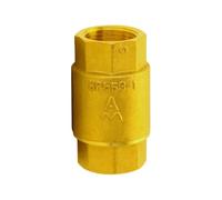 BYLSAGWHT DN15/20/25/32/40/50 Brass Vertical Check Valve Thickened Thread Unidirectional Cold And Anti Reflux Valve Horizontal Baffle (2xDN50)