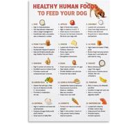 BYLSAGWHT Feeding Your Dog Right Poster Human Foods That Are Wall Hanging(Unframed,16x24inch(40x60cm))
