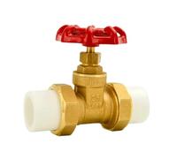 BYLSAGWHT PPR Pipe PE Pipe Water Pipe Gate Valve Union Pipe Fitting Water Meter Tap Water Meter Tube Brass DN20 DN25 DN50 Connection Pipe(3TF48 (Grade A))