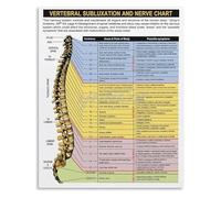 BYLSAGWHT Science Classroom Metal Sign Human Spine Anatomy Chart Vertebral Column and Nerve Pathways Biology Poster 8 X 12 in