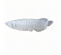 BYLSAGWHT Selenite Arowana Fish Sculpture - 4.92×1.18in / 12.5×3cm Hand-Carved Crystal Ornament for Cleansing & Home Décor