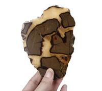 BYLSAGWHT Septarian Dragon Stone Slice - Polished Rough Crystal Stones with Pattern, Raw Geode Desk Decor for Home Office Decorative,500~560g