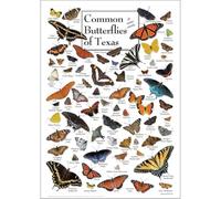BYLSAGWHT Vintage Butterflies of Texas Wall Art, Framed Poster Print with Common Species, Nature Lover Gift for Birthday Christmas Home Office Bedroom Decor(Framed,12x18inch(30x45cm))