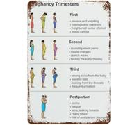 BYLSAGWHT Vintage Pregnancy Trimesters Metal Tin Sign Maternity Wall-Art for Doctor Office Shower Nursery Midwife 8 X 12 in