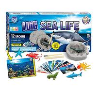 Byncceh Kit de Excavación de Oceanos para Niños - 12 Criaturas Marinas para Excavar, Juego de Arqueología para Niños, Ideal para Clases y Hogar, Adecuado para y Niñas de 6 a 12 Años