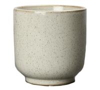 Byon Taza sin asa Iris Asparagus
