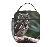 BYPPJGH Wild Owl Birds - Lonchera reutilizable con aislamiento, gran capacidad, a prueba de fugas, bolsas de comida para mujeres y hombres, trabajo, oficina, picnic, viajes