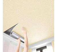 ByteRunning Azulejos del Techo,Paneles Decorativos De Pared Y Techos,Paneles De Techo De Poliestireno,Fuerte Y Ligero,para Muro Y Techos,Fondos De TV,Dormitorios Y Oficinas