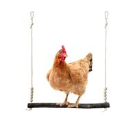 Byuexhp de Pollo | Juguete de Madera para Pollos, Juguete para Polluelos de Aves de Corral, para Amantes de los Animales, jardín, cría de Aves de Corral, recinto Natural