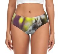 BYwenhopnbs Alaskan Malamute Bokeh Pets - Calzoncillos de apoyo para mujer, ropa interior cómoda y suave para mujer, multicolor, S