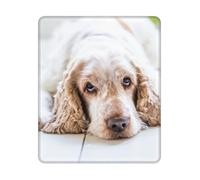 BYwenhopnbs Alfombrilla de ratón Cuadrada con Borde Cosido, diseño de Cocker Spaniel marrón, Perros tristes, Mascotas, 25 y 30 cm