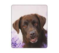 BYwenhopnbs Alfombrilla de ratón Cuadrada con Borde Cosido, diseño de Labrador Retriever marrón y Lavanda, 10 y 12 Pulgadas