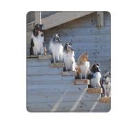 BYwenhopnbs Alfombrilla de ratón Cuadrada con Borde Cosido, diseño de Perros Border Collie, Shetland Sheepdogs, Alaskan, 25 y 30 cm