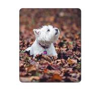 BYwenhopnbs Alfombrilla de ratón Cuadrada con Borde Cosido, diseño de Westie Bokeh West Highland White Terrier, 10 y 12 Pulgadas