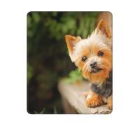 BYwenhopnbs Alfombrilla de ratón Cuadrada con Borde Cosido, diseño de Yorkshire Terrier Bokeh, Perros Lindos, 10 y 12 Pulgadas
