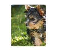 BYwenhopnbs Alfombrilla de ratón Cuadrada con Borde Cosido, diseño de Yorkshire Terrier, Hierba Verde, Perros adorables, 10 y 12 Pulgadas