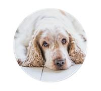 BYwenhopnbs Alfombrilla de ratón Redonda con Borde Cosido, diseño de Cocker Spaniel marrón, Perros tristes, Mascotas, 8 x 8 Pulgadas