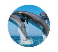 BYwenhopnbs Alfombrilla de ratón Redonda con Delfines Saltando en Invierno, diseño de Borde Cosido de 8 x 8 Pulgadas