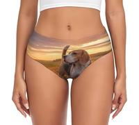 BYwenhopnbs Beagle Lawn Dogs On A Walk Pets Dogs Sunset - Calzoncillos de apoyo para mujer, ropa interior cómoda y suave para mujer, multicolor, XL