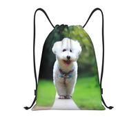 BYwenhopnbs Bichon Frise Bokeh Pets Dogs Park White Dogs Drawstring Bag String Bag Lightweight Gym Backpack for Men Women