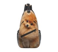 BYwenhopnbs Bolso bandolera pequeño para hombre con diseño de cachorro de perro Pomerania. Mochila pequeña de viaje.