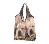 BYwenhopnbs Bolso plegable Labradors Little Puppies Golden Retriever, impermeable y reutilizable para compras y viajes.