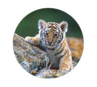 BYwenhopnbs Bonita Alfombrilla de ratón Redonda con diseño de Tigre y Borde Cosido, 20 x 20 cm