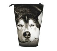 BYwenhopnbs Estuche para lápices de pie con diseño de Husky Siberiano, Bolsa telescópica para lápices
