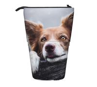 BYwenhopnbs Estuche para lápices de pie, Estuche telescópico con diseño de Dios Bokeh con Ojos Amarillos de Border Collie marrón