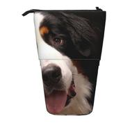 BYwenhopnbs Estuche para lápices Vertical con diseño de Perro de montaña bernés, Bolsa telescópica para lápices