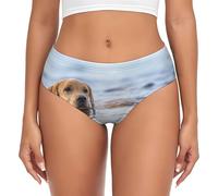 BYwenhopnbs Golden Retriever - Ropa interior flotante para perros y mascotas, labrador, ropa interior cómoda y suave para mujer, multicolor, 4XL