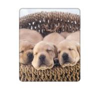 BYwenhopnbs Labradors Little Puppies Golden Retriever - Alfombrilla de ratón cuadrada con borde cosido, 25,4 y 30,5 cm