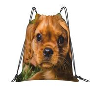 BYwenhopnbs Mochila con cordón para deportes, gimnasio, resistente al agua, para mujeres y hombres, Cavalier King Charles Spaniel Brown Curly Dogs