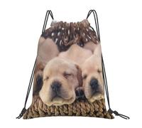 BYwenhopnbs Mochila con cordón para deportes, gimnasio, resistente al agua, para mujeres y hombres, con diseño de cachorros de labrador y golden retriever.