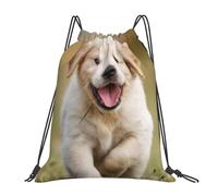 BYwenhopnbs Mochila con cordón para gimnasio, deportiva, resistente al agua, para mujeres y hombres, con diseño de Labrador Retriever