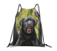 BYwenhopnbs Mochila deportiva con cordón y estampado de Labrador Retriever, resistente al agua, para gimnasio, para mujeres y hombres.