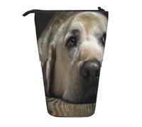 BYwenhopnbs Precioso Estuche para lápices de pie con Forma de Perro Labrador, Estuche telescópico para lápices