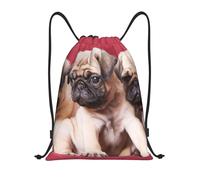 BYwenhopnbs Pugs Sofás Mantas Fotografías a color Bolsa con cordón Bolsa de cuerda Mochila de gimnasio ligera para hombres y mujeres
