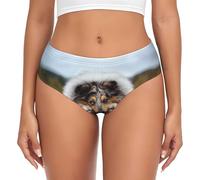 BYwenhopnbs Rough Collie Bokeh Railway Dogs Pets Rough, calzoncillos de apoyo para mujer, ropa interior cómoda y suave para mujer, multicolor, 4XL