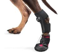 BYYLECL Soporte de pie con correa (sin soporte para botas de nudillos) para zapatos correctivos de perros para levantar los dedos de los pies de forma segura para problemas de pies, L