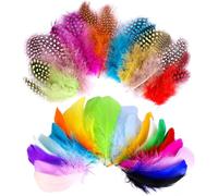 BYZESTY 300Pcs Plumas Manualidades, Plumas Naturales Colores, Plumas de la Decoración para DIY Pendiente, Dream Catcher Artesanía, Boda, Fiestas de Cumpleaños, Decoración del hogar Fiesta (8-15 cm)
