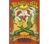 B'Z - Live Gym 2002 Green Go Fight W Ith (2 Dvd) [Edizione: Giappone] [Italia]